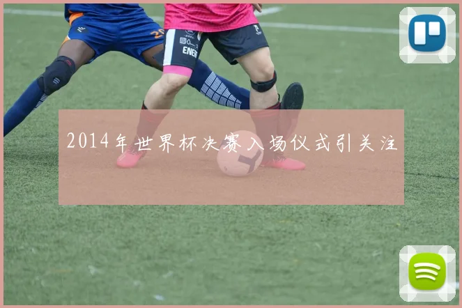 2014年世界杯决赛入场仪式引关注